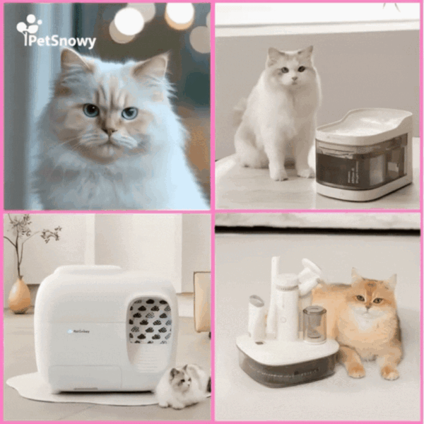 Collage of premium PetSnowy cat products including beautiful fluffy cats with the SNOW+ automatic self-cleaning litter box, circulating water fountain, and grooming vacuum kit for effortless pet care and odor control